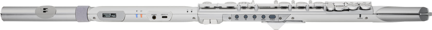 Roland Aerophone Brisa Digital Wind Instrument