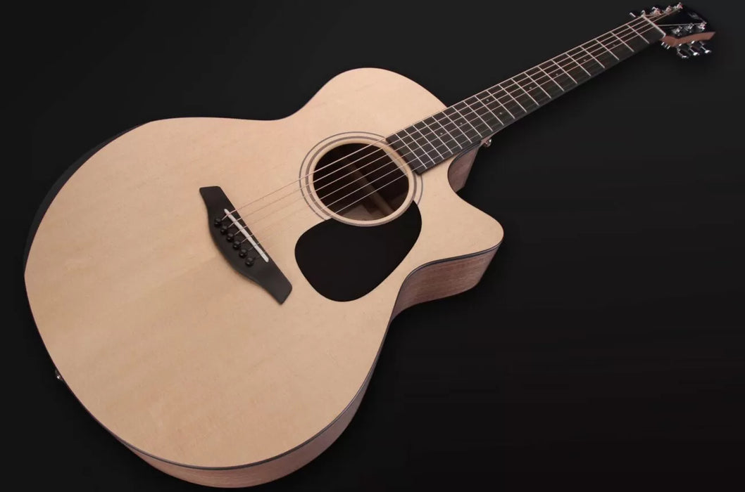 Furch Blue Deluxe Gc-SW a with LR Baggs Stage Pro Element