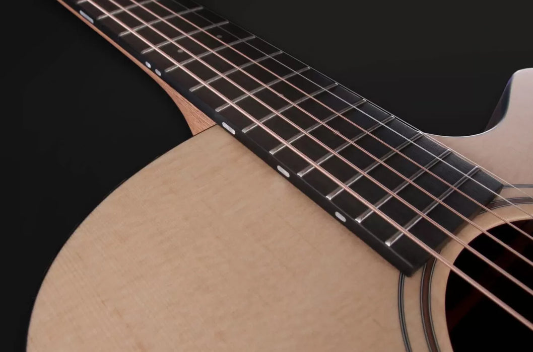 Furch Blue Deluxe Gc-SW a with LR Baggs Stage Pro Element