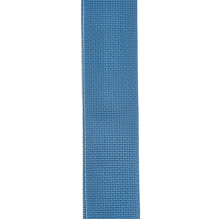 D'Addario Polypropylene Guitar Strap - Blue