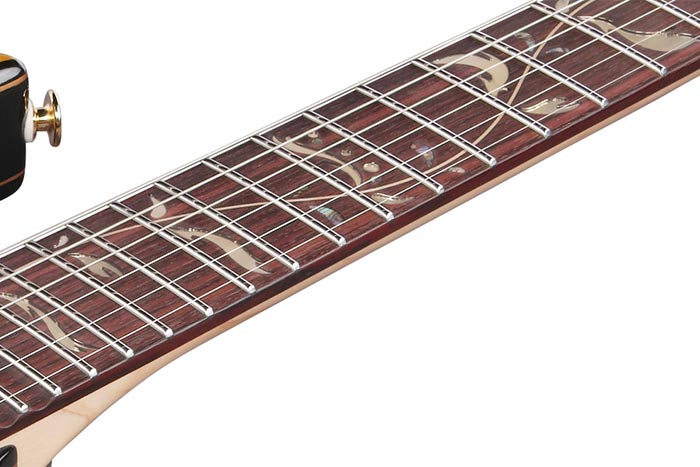 Ibanez PIA77BON2 Steve Vai Signature Electric Guitar, Gold