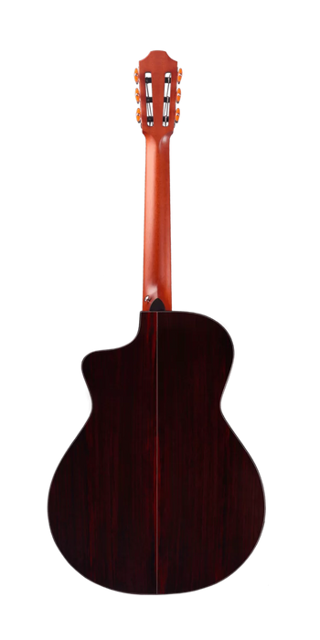 Furch GNC 4-SR Nylon Guitar w/LR Baggs EAS nylon