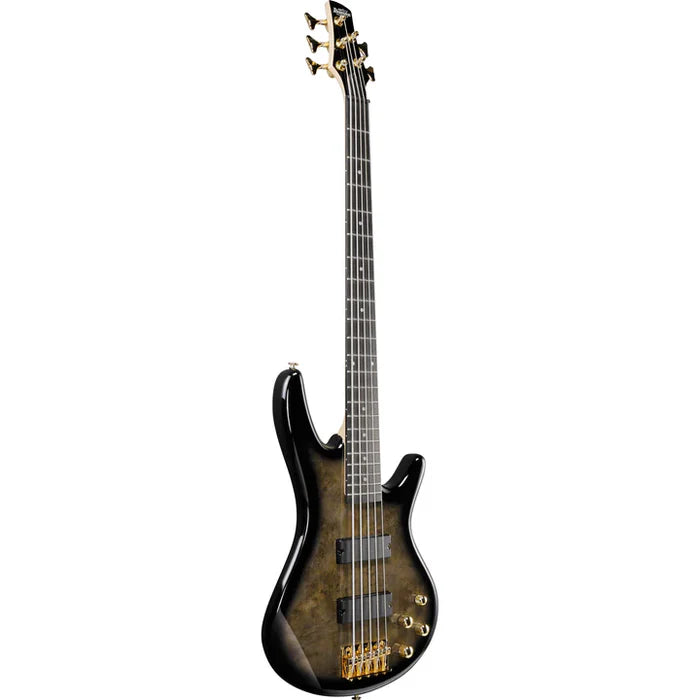 Ibanez GSR205PCTPB Gio SR Series 5 String RH Electric Bass - Transparent Pale Black Burst
