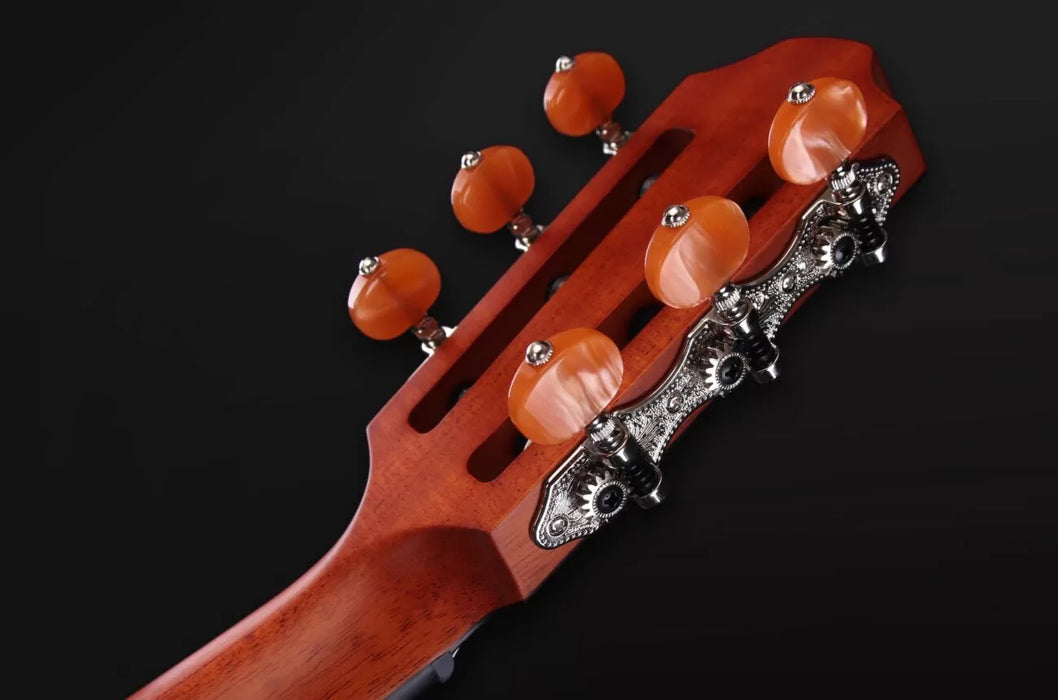 Furch GNC 4-SR Nylon Guitar w/LR Baggs EAS nylon