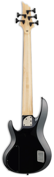 ESP E-II BTL-5, Black Natural Burst