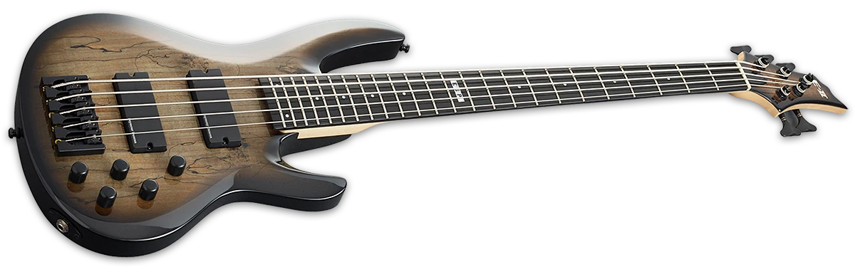 ESP E-II BTL-5, Black Natural Burst
