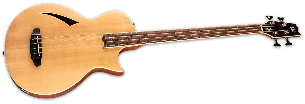 ESP LTD TL-4, Natural