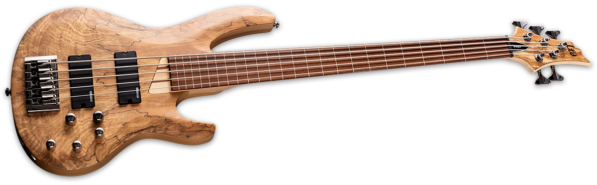 ESP LTD B-205SM Fretless, Natural Satin