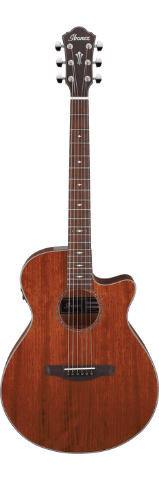 Ibanez AEG220LGS Acoustic/Electric - Natural Low Gloss