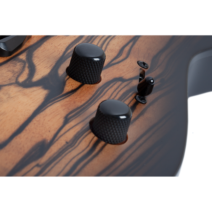 Schecter C-1 Pale Moon, Natural Satin w/Black Burst