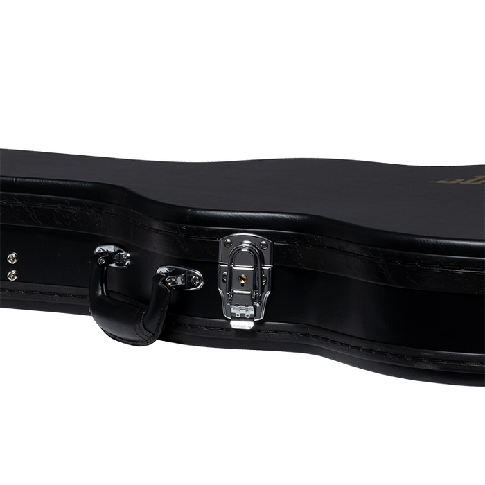 Epiphone Allen Woody Bass Hardshell Case