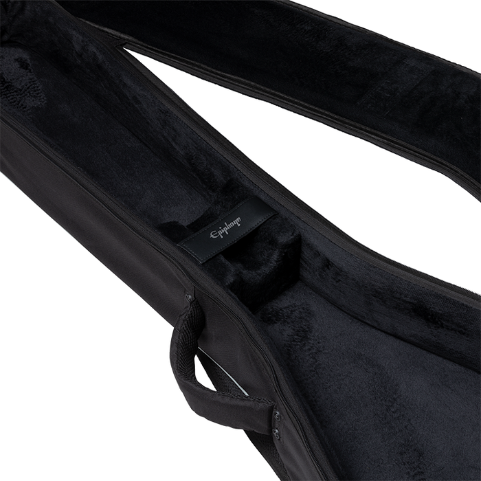 Epiphone Flying V Case