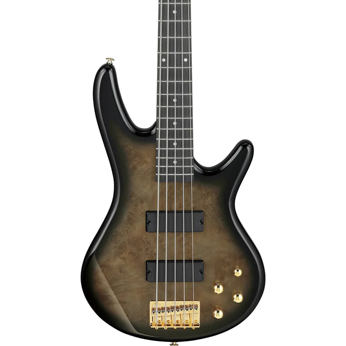 Ibanez GSR205PCTPB Gio SR Series 5 String RH Electric Bass - Transparent Pale Black Burst