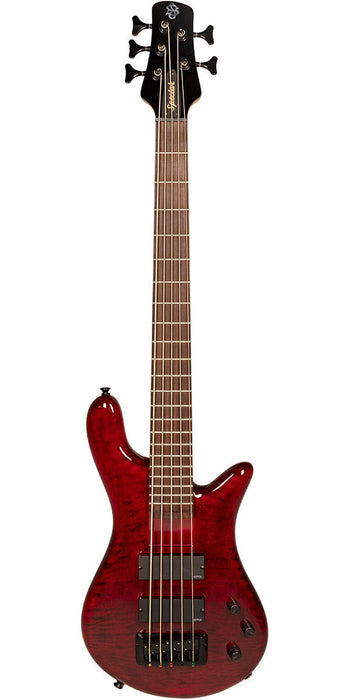 Spector Bantam 5, Black Cherry Gloss