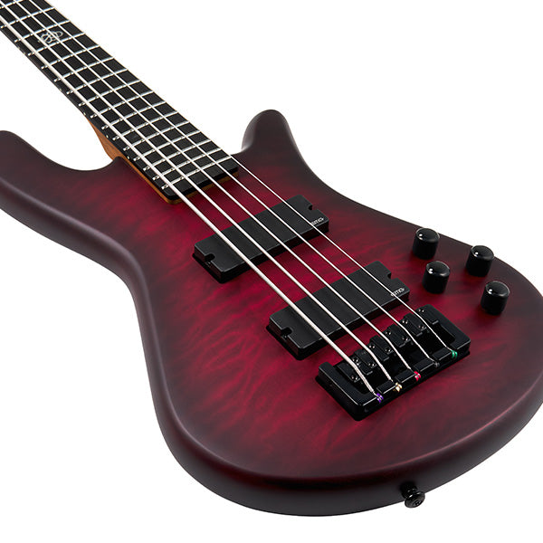 Spector NS Pulse 5, Black Cherry Matte