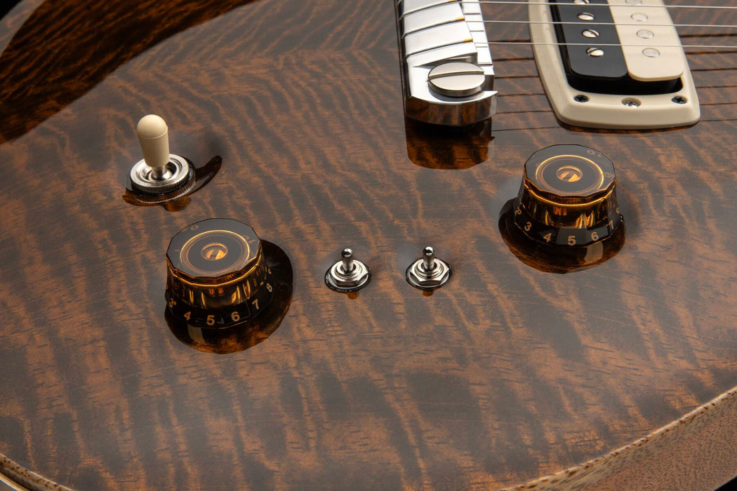 PRS Paul's Guitar Mango Top Limited Edition Electric Guitar w/Hardshell Case, Tiger Eyes
