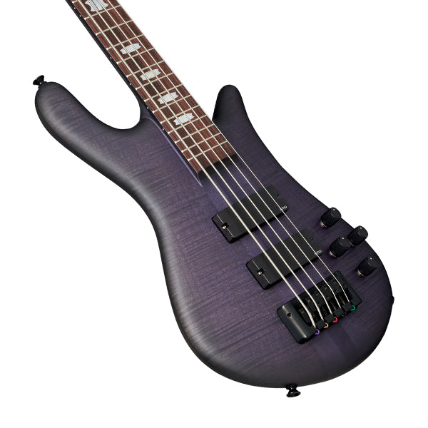 Spector Euro 5 LX, Nightshade Matte