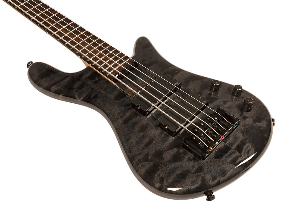 Spector Bantam 5, Black Stain Gloss