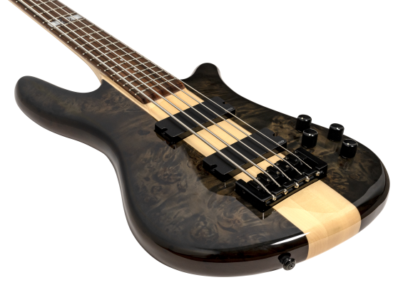 Spector NS-2000/5 Dan Briggs, Faded Black/Walnut Stain