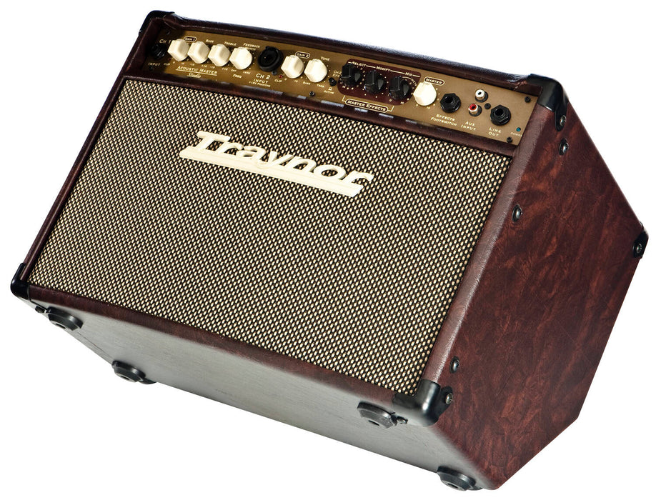 Traynor 2-Channel Compact Stereo Acoustic Guitar Amp - 65 Watts