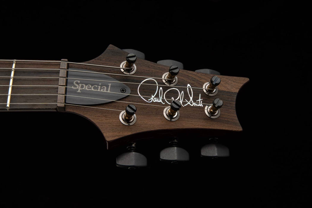 PRS Special Semi-Hollow Mango Top Limited Edition Electric Guitar w/Hardshell Case, Charcoal Purple Burst