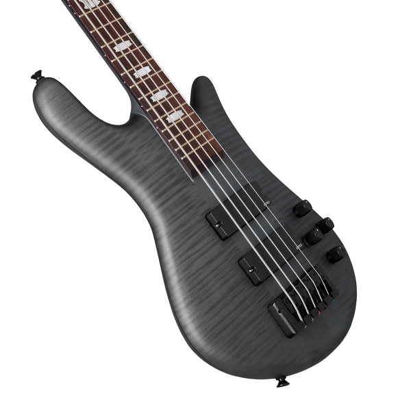 Spector Euro 5 LX, Black Stain Matte
