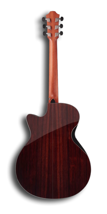 Furch Yellow Deluxe Gc-SR a, LR Baggs Anthem, Hardcase