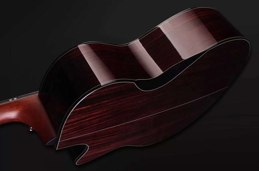 Furch Yellow Deluxe Gc-SR a, LR Baggs Anthem, Hardcase