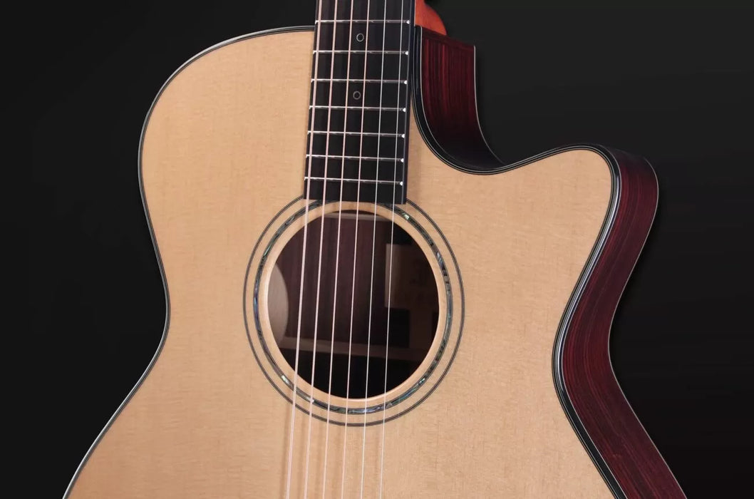 Furch Yellow Deluxe Gc-SR a, LR Baggs Anthem, Hardcase