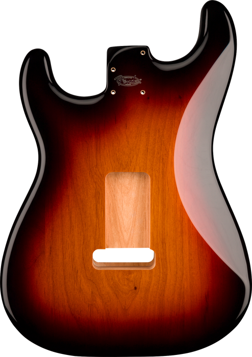Fender Deluxe Series Stratocaster Body