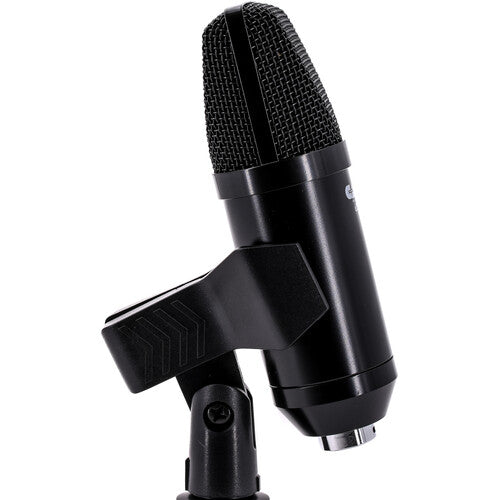 CAD U29 Usb Side Address Studio Microphone